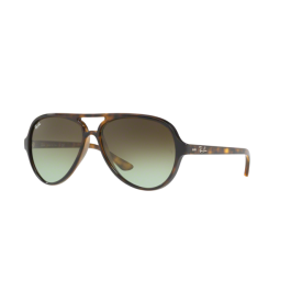 Sunglasses Ray-Ban Cats 5000 Classic RB 4125 (710/A6) RB4125 ...