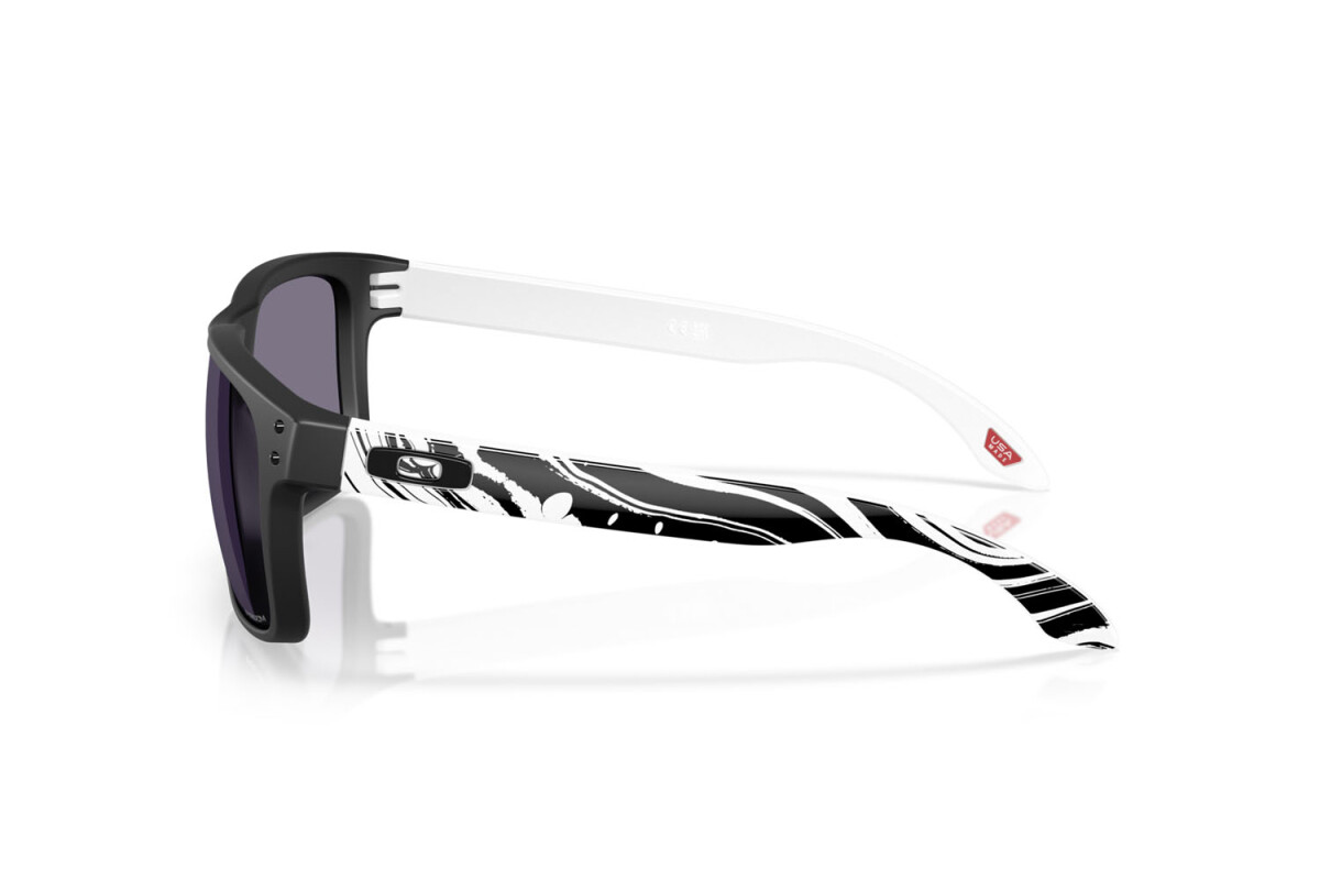 Occhiali da sole Uomo Oakley Holbrook OO 9102 9102Z5