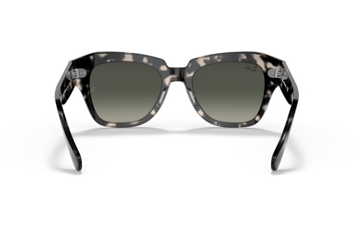 Zonnebrillen Unisex Ray-Ban State street RB 2186 133371