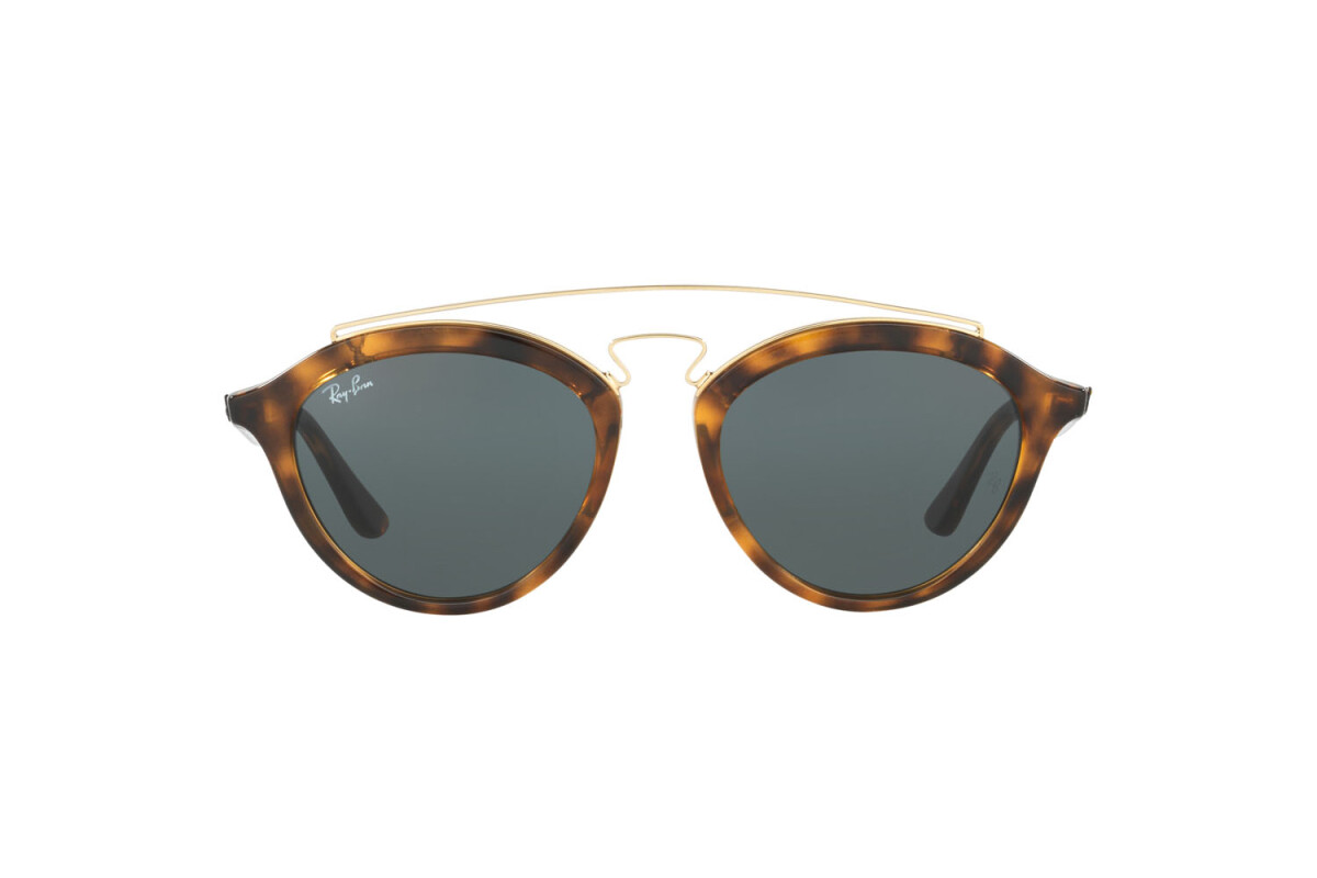 Sonnenbrillen Frau Ray-Ban New Gatsby II RB 4257 710/71