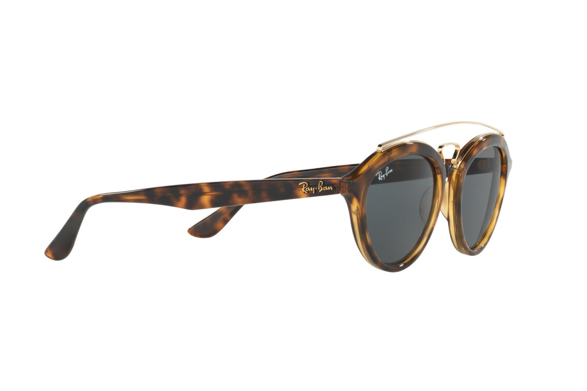 Sonnenbrillen Frau Ray-Ban New Gatsby II RB 4257 710/71