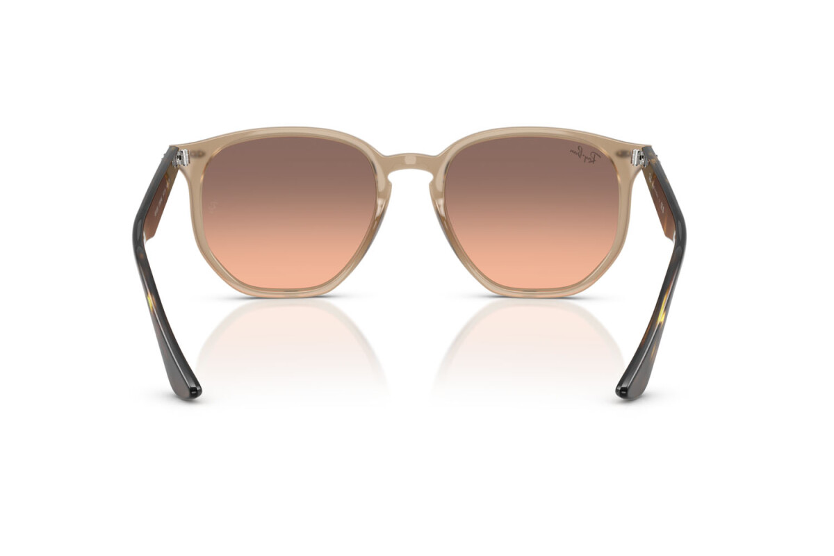 Occhiali da sole Unisex Ray-Ban  RB 4306 678846