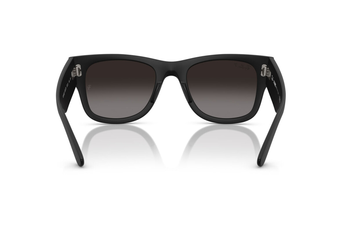 СОЛНЦЕЗАЩИТНЫЕ ОЧКИ унисекс Ray-Ban  RB 4840S 601ST3