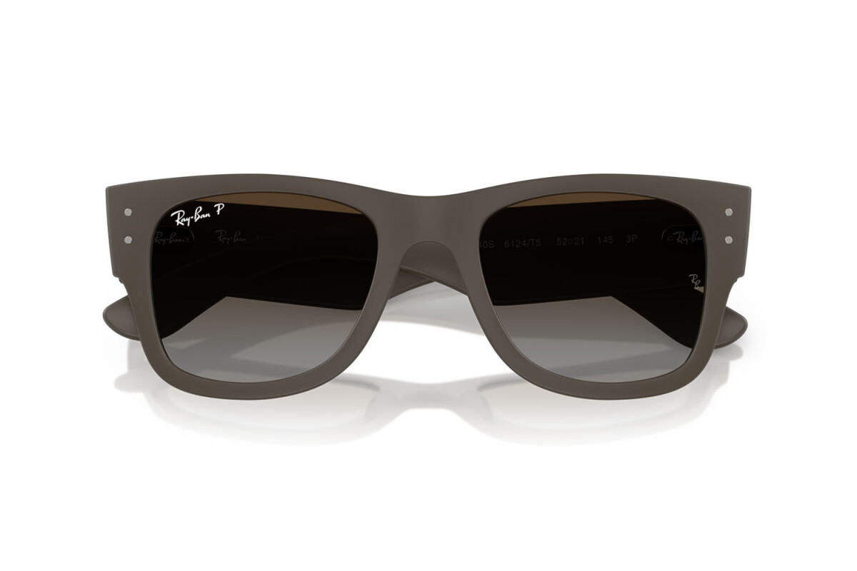 Sonnenbrillen Unisex Ray-Ban  RB 4840S 6124T5