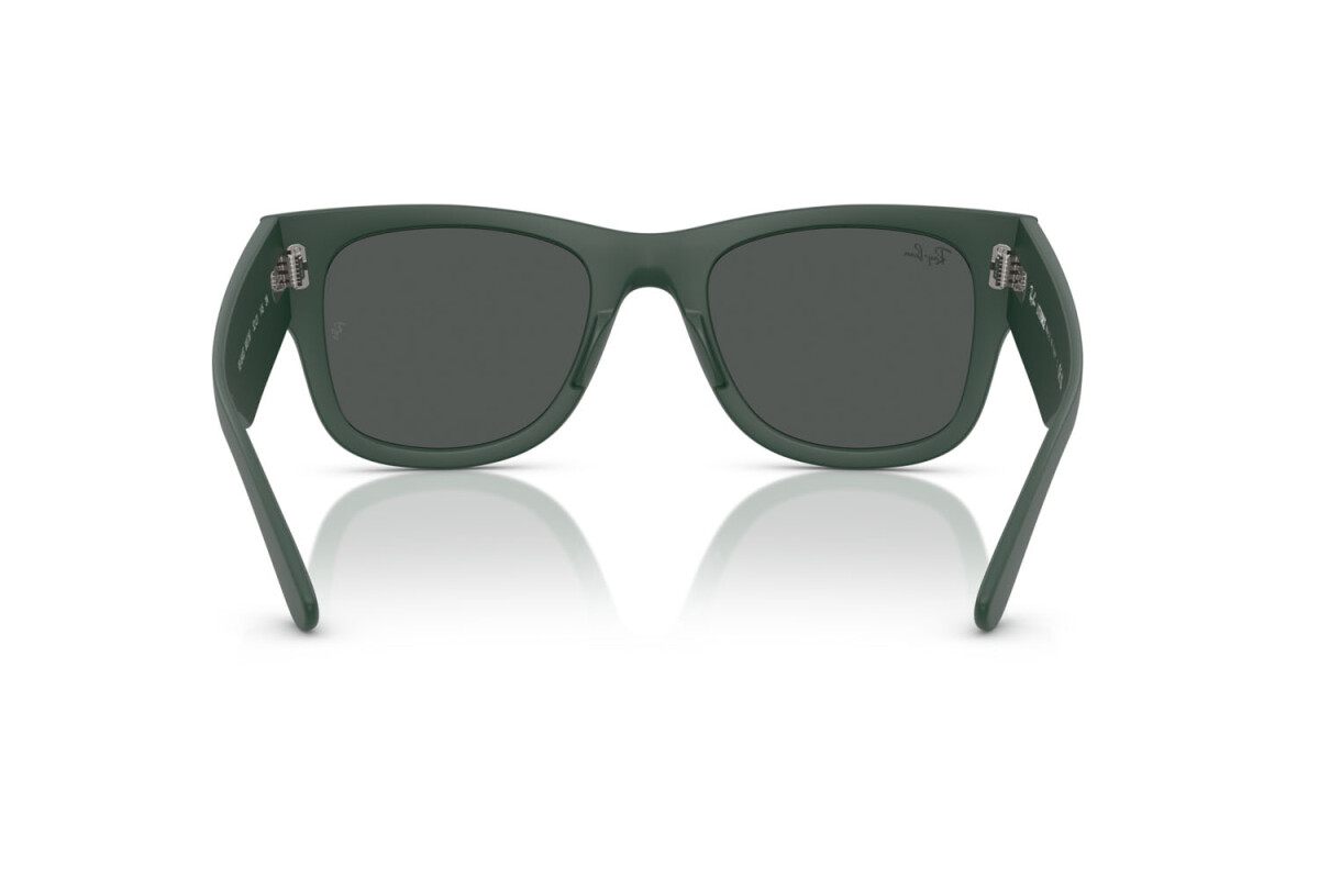 СОЛНЦЕЗАЩИТНЫЕ ОЧКИ унисекс Ray-Ban  RB 4840S 665787