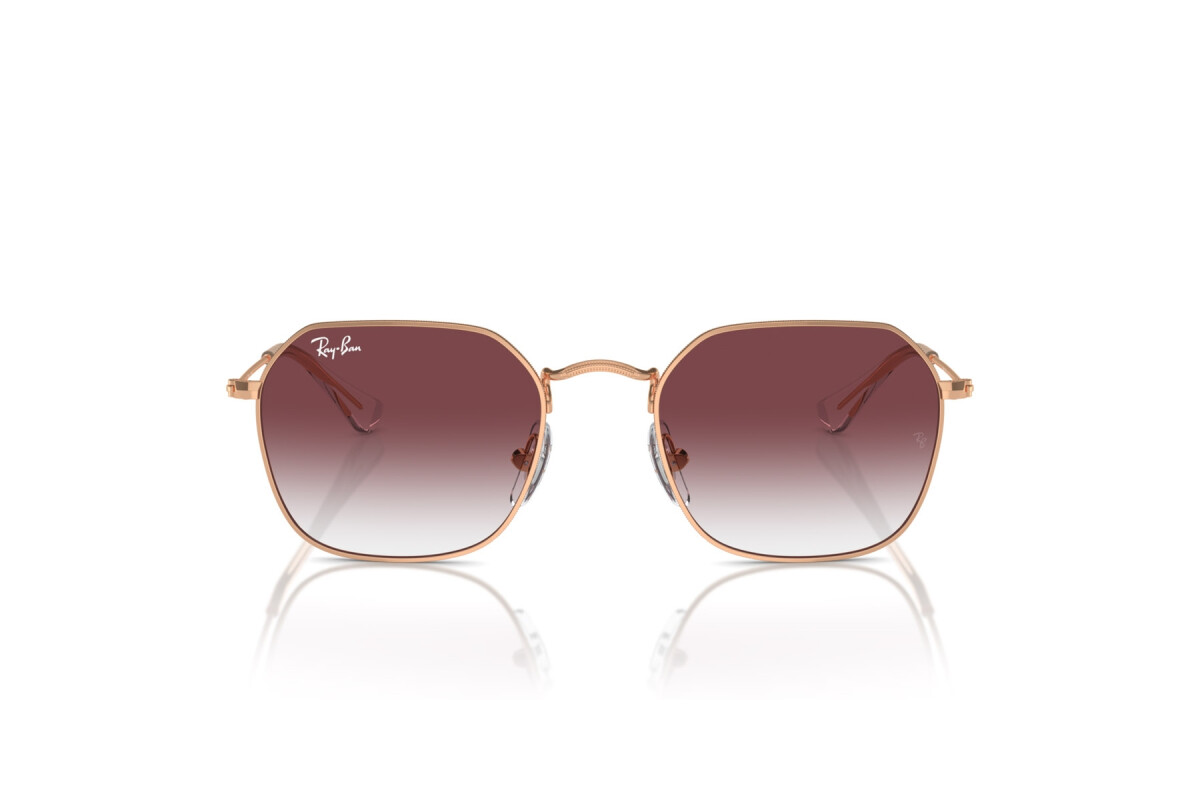 Sonnenbrillen Junior (für kind) Ray-Ban  RJ 9594S 291/8H