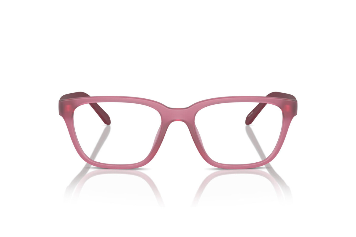 Brillen Mann Arnette Pheobe AN 7250U 2907