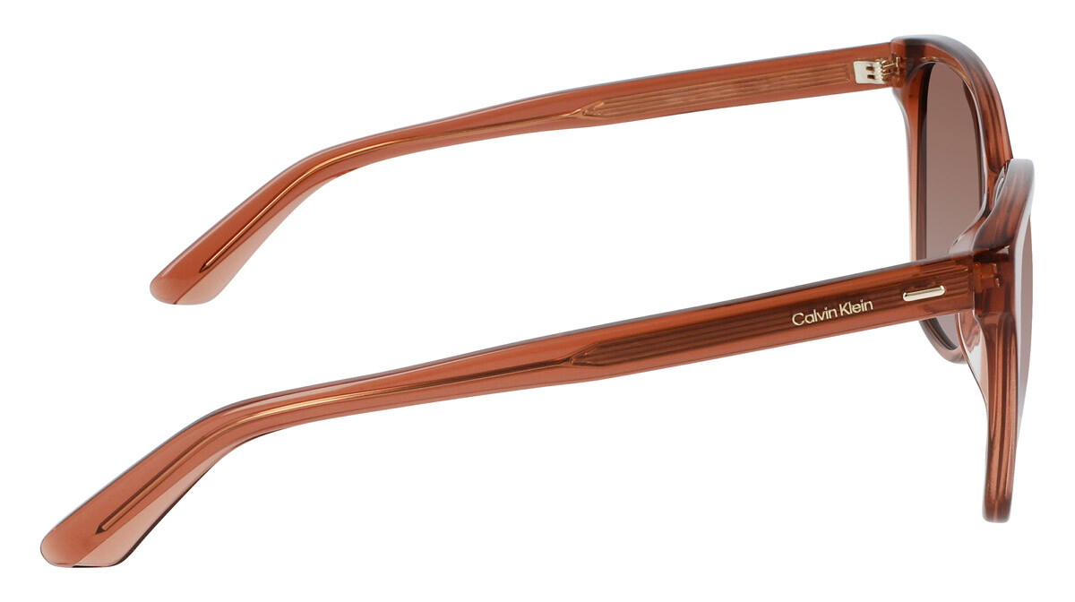 Lunettes de soleil Femme Calvin Klein  CK21529S 601