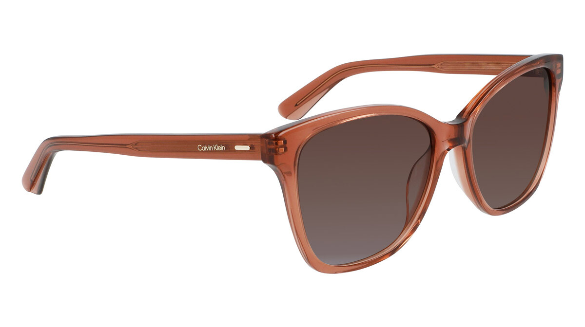 Sonnenbrillen Frau Calvin Klein  CK21529S 601