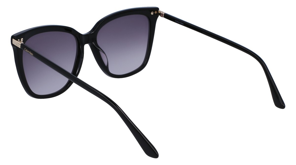 Sunglasses Woman Calvin Klein  CK22532S 001