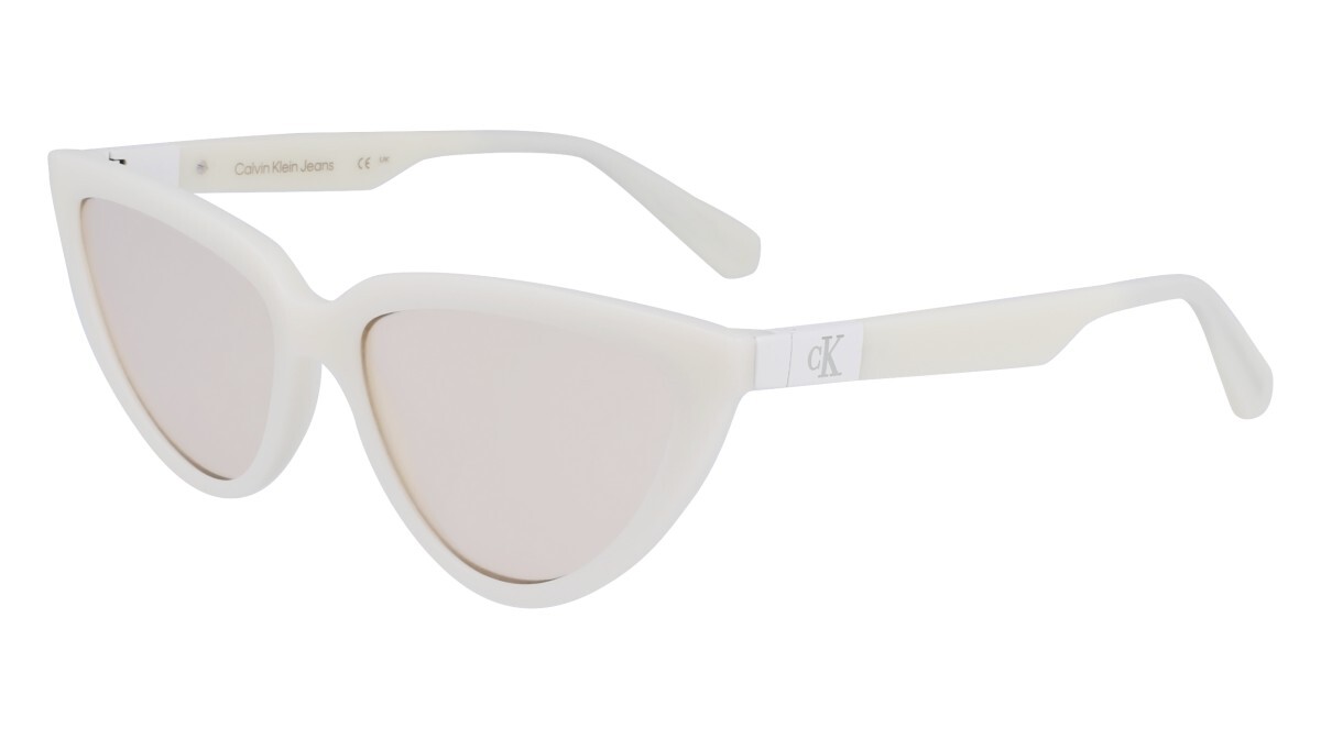 Sonnenbrillen Frau Calvin Klein Jeans  CKJ23658S 100