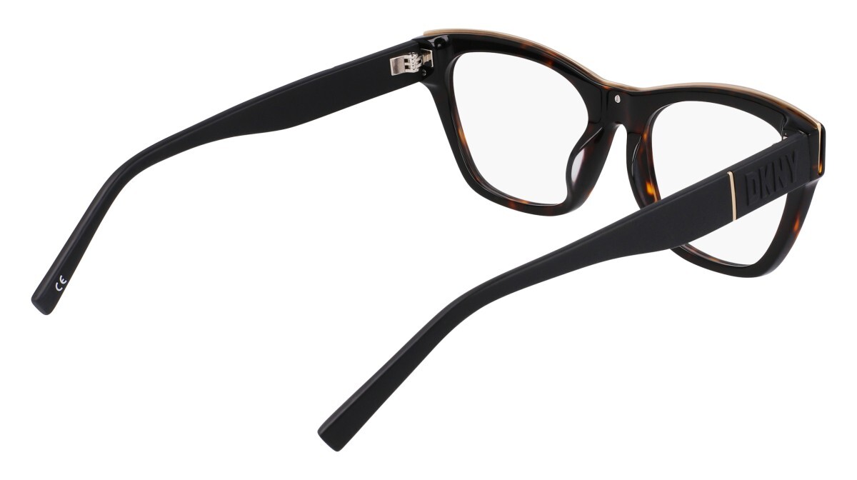 Eyeglasses Woman DKNY  DK5063 237