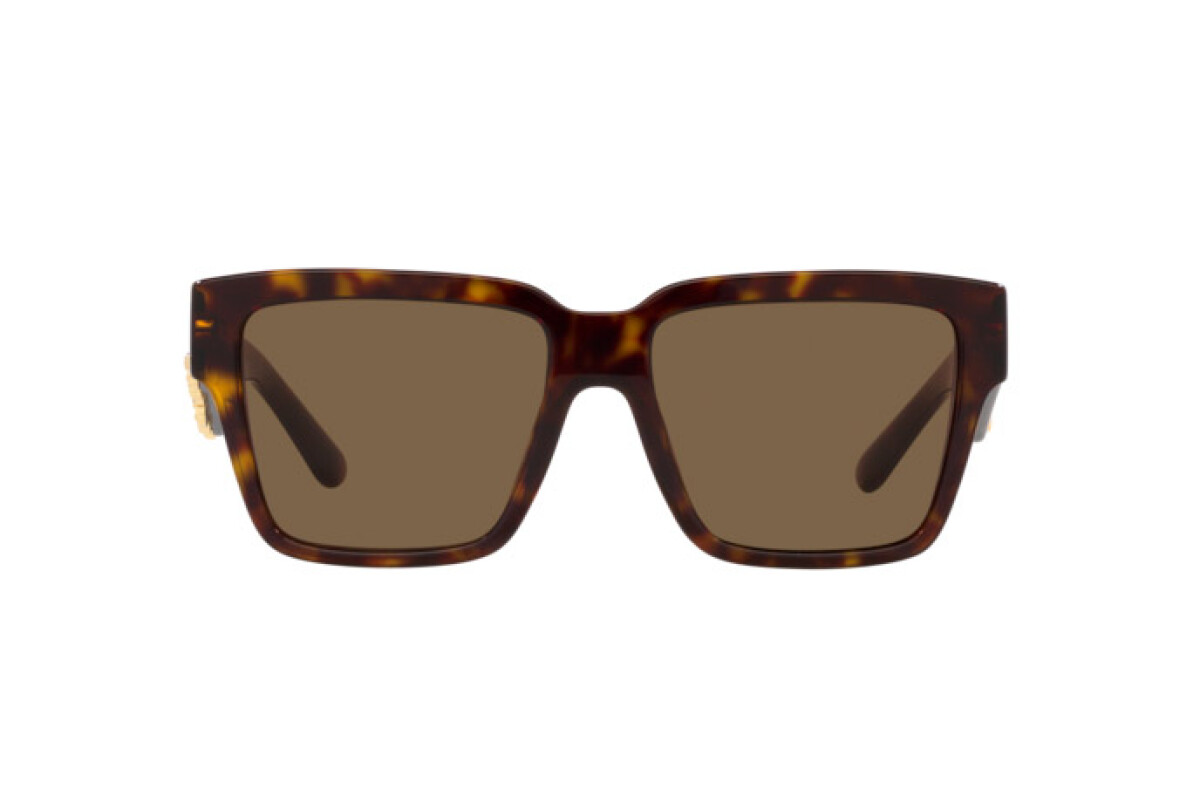 Sonnenbrillen Frau Dolce & Gabbana  DG 4436 502/73