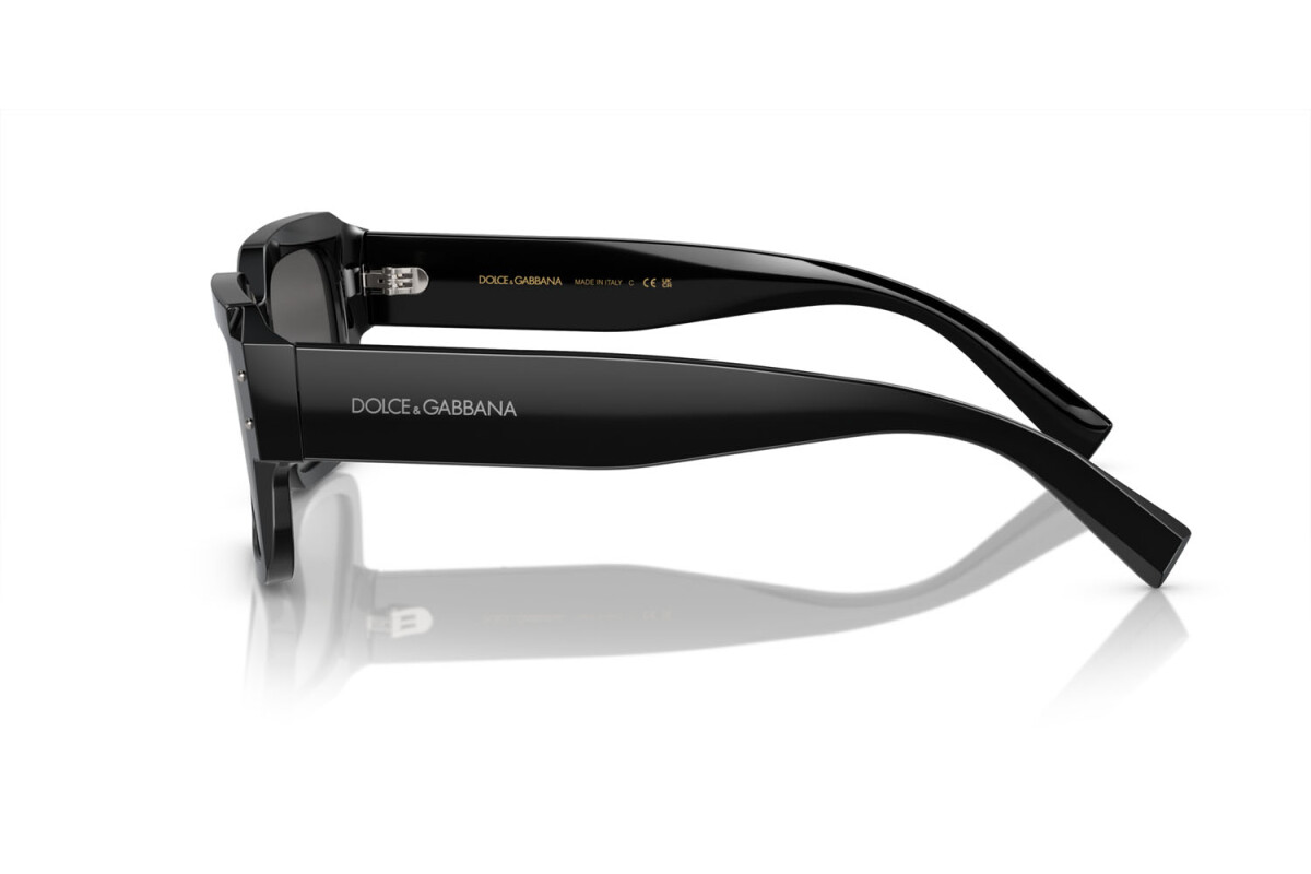 Sunglasses Man Dolce & Gabbana  DG 4460 501/87