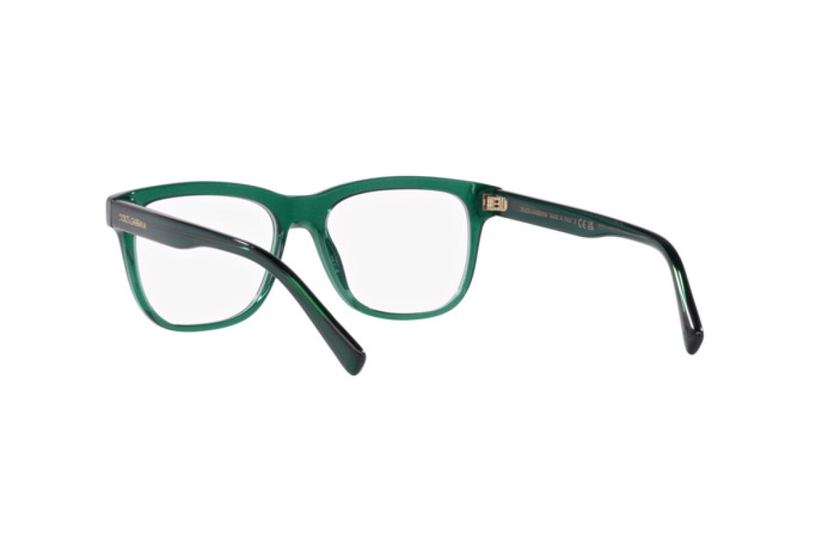 Eyeglasses Junior Dolce & Gabbana  DX 3356 3008