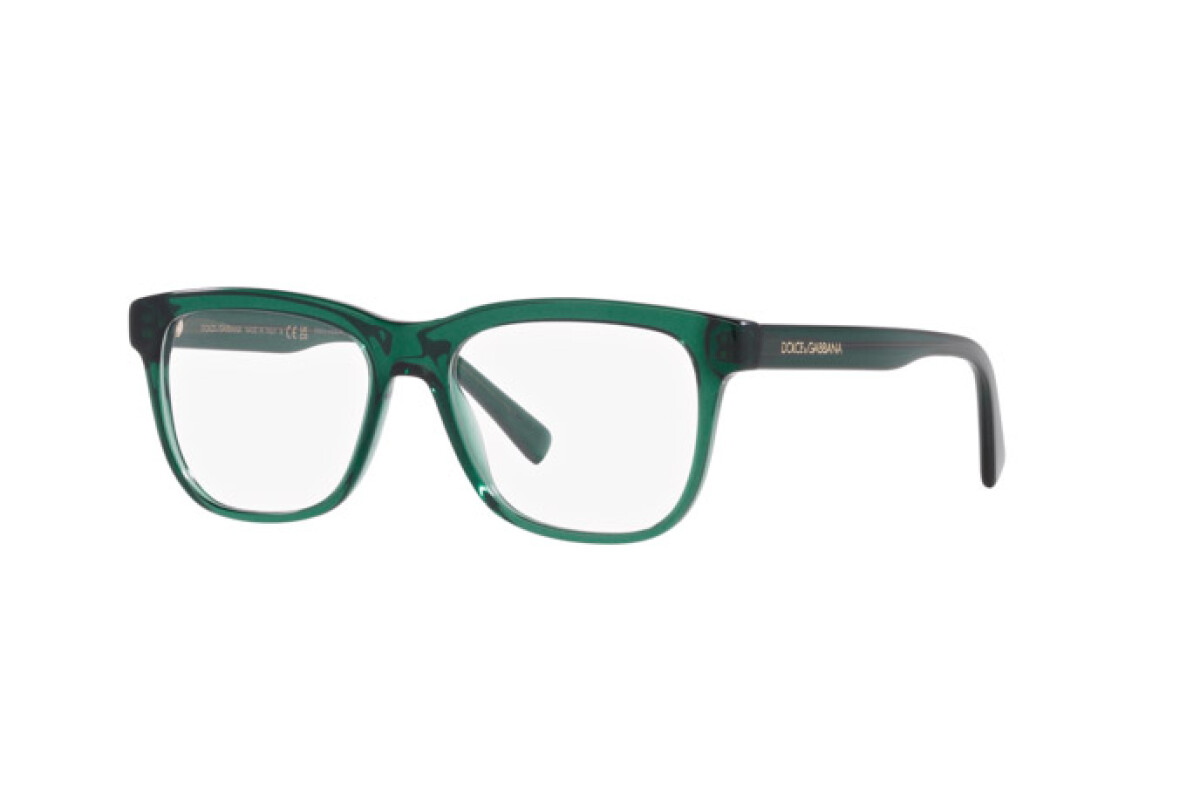 Eyeglasses Junior Dolce & Gabbana  DX 3356 3008