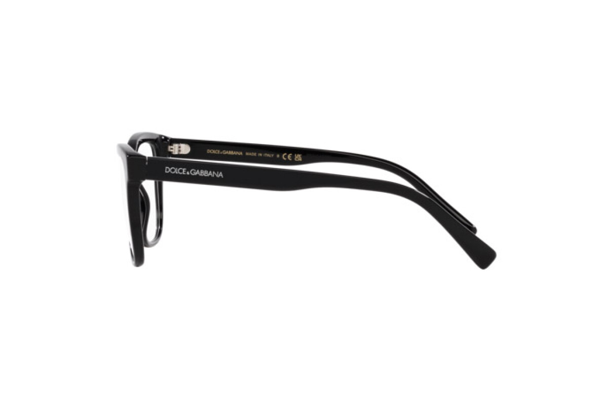 Eyeglasses Junior Dolce & Gabbana  DX 3356 501