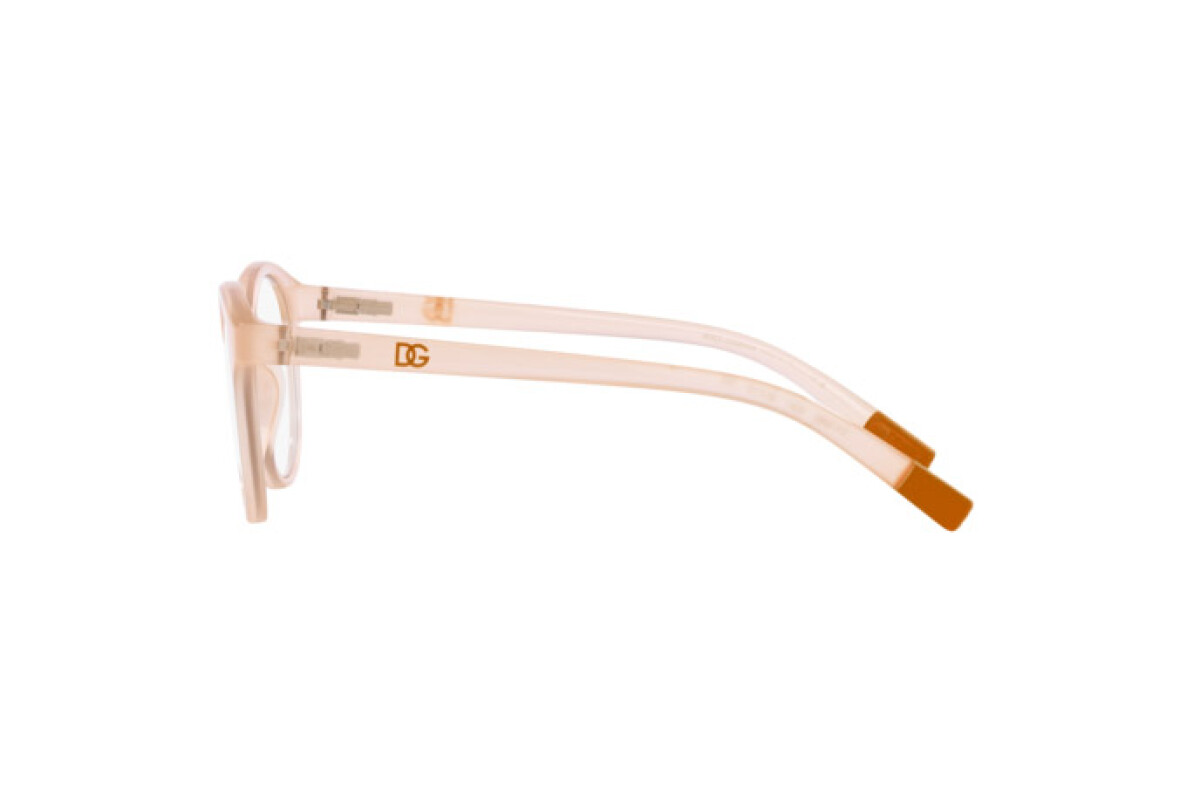 Eyeglasses Junior Dolce & Gabbana  DX 5095 3041