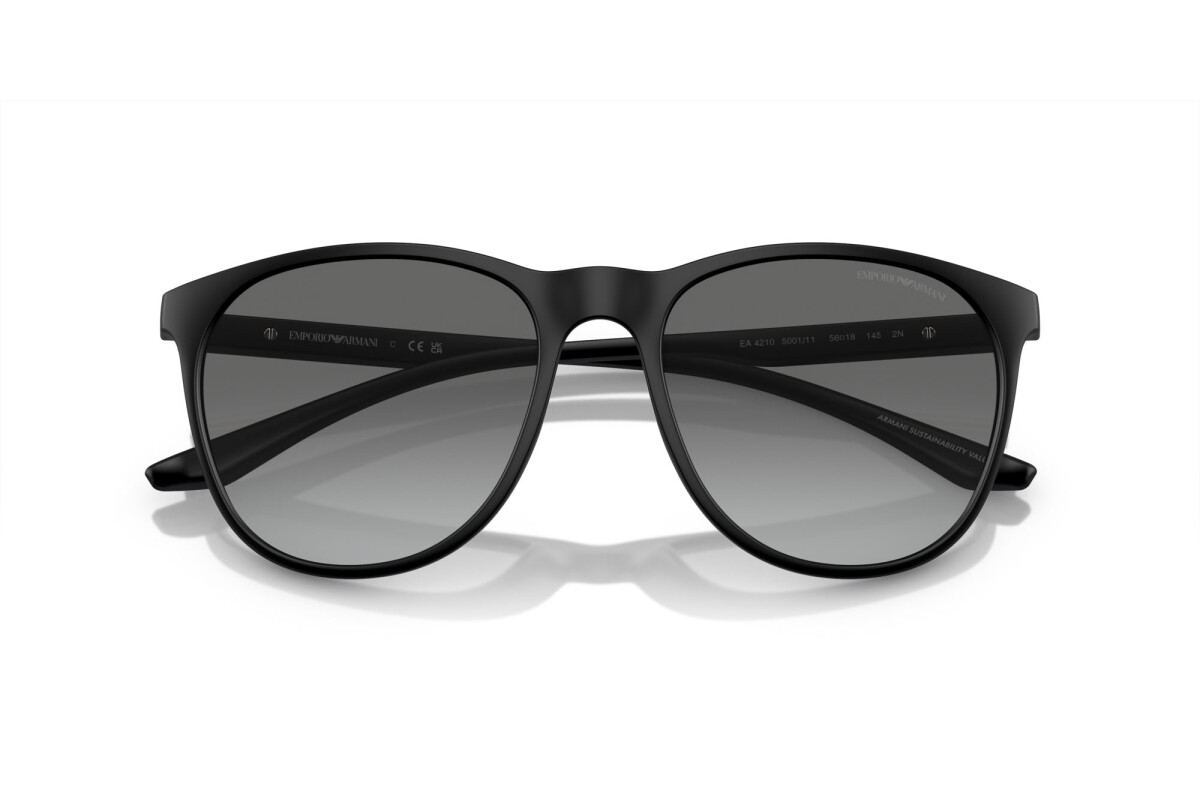 Lunettes de soleil Homme Emporio Armani  EA 4210 500111