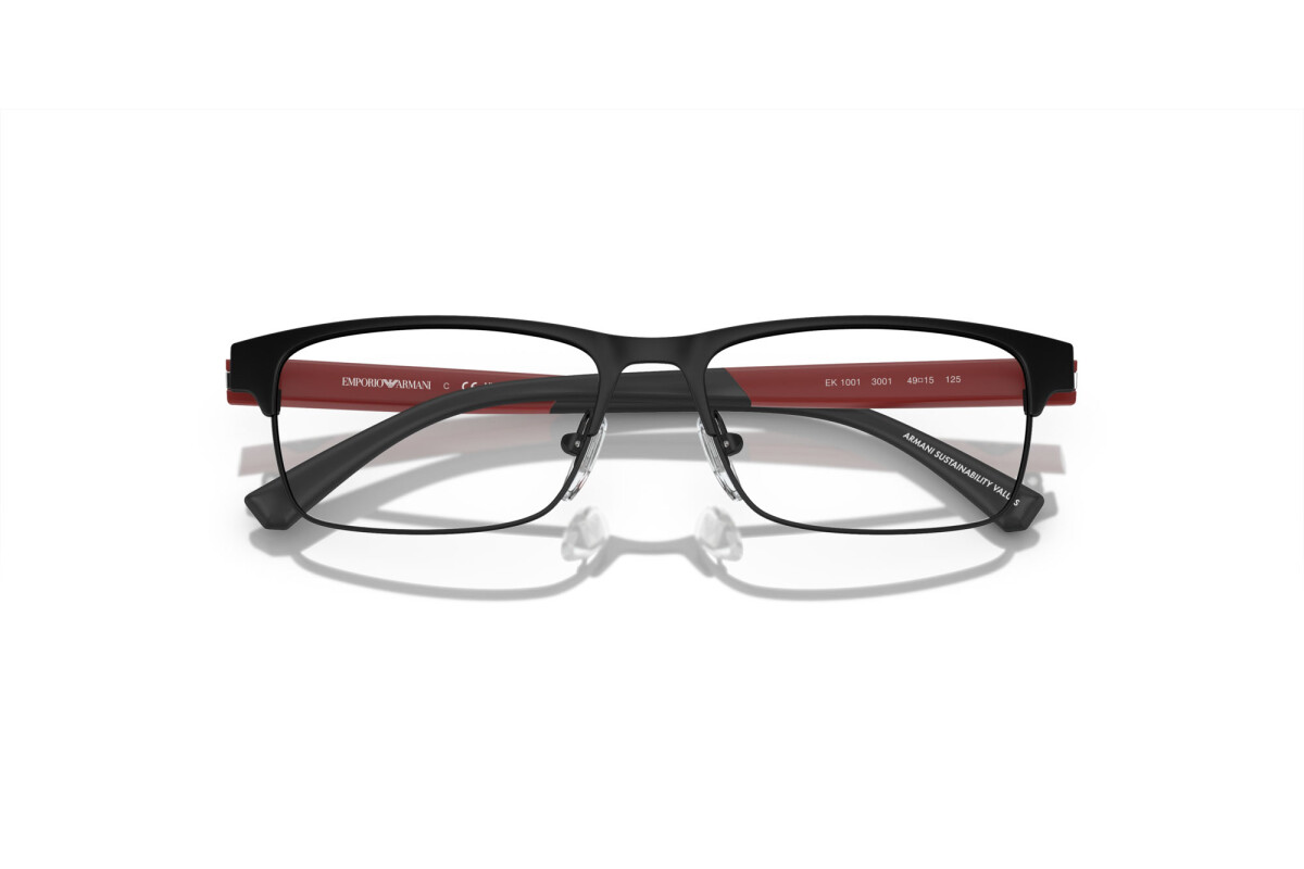 Eyeglasses Junior Emporio Armani  EK 1001 3001