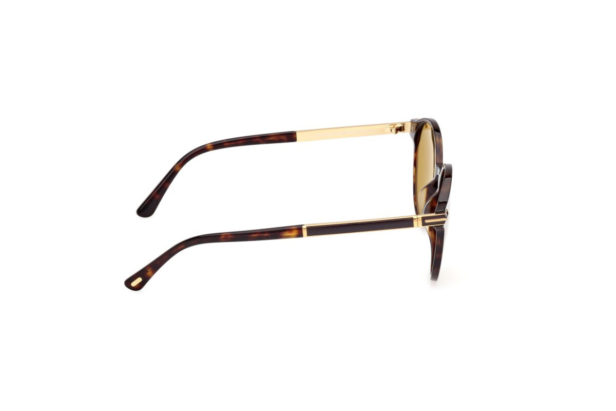 Sonnenbrillen Mann Tom Ford Araki FT1184 52H