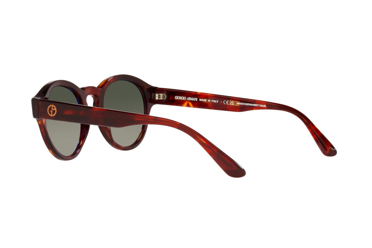 Sunglasses Woman Giorgio Armani  AR 8146 596271