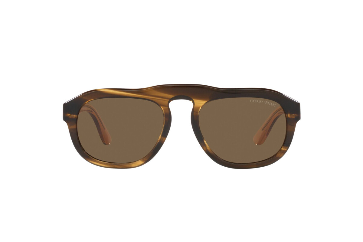 Sunglasses Man Giorgio Armani  AR 8173 595873