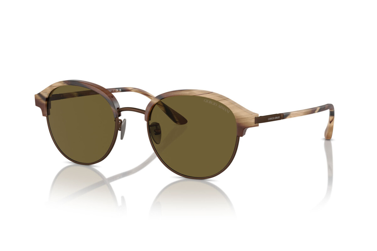 Lunettes de soleil Homme Giorgio Armani  AR 8215 606573