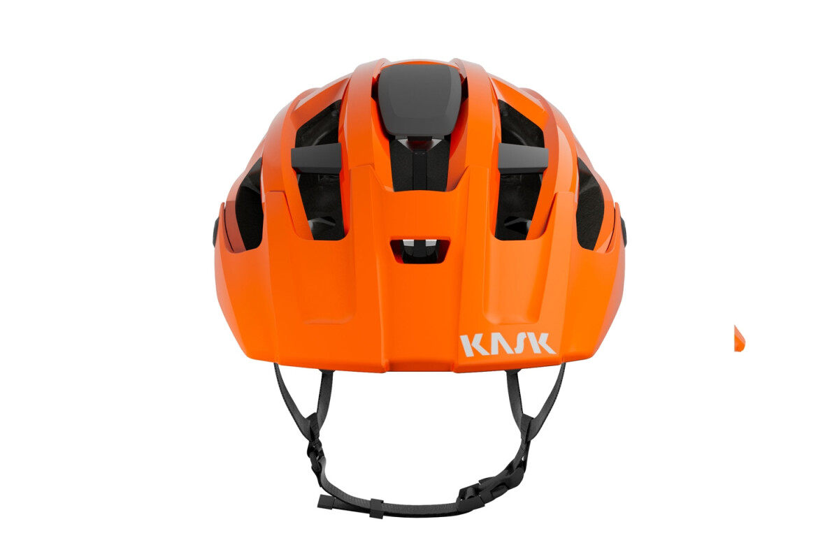 Caschi bici Unisex Kask Rex CHE00038395