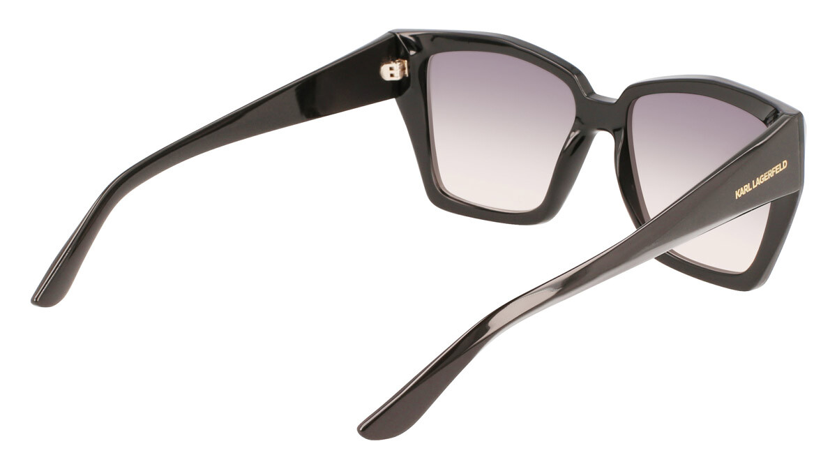 Sunglasses Woman Karl Lagerfeld  KL6072S 001