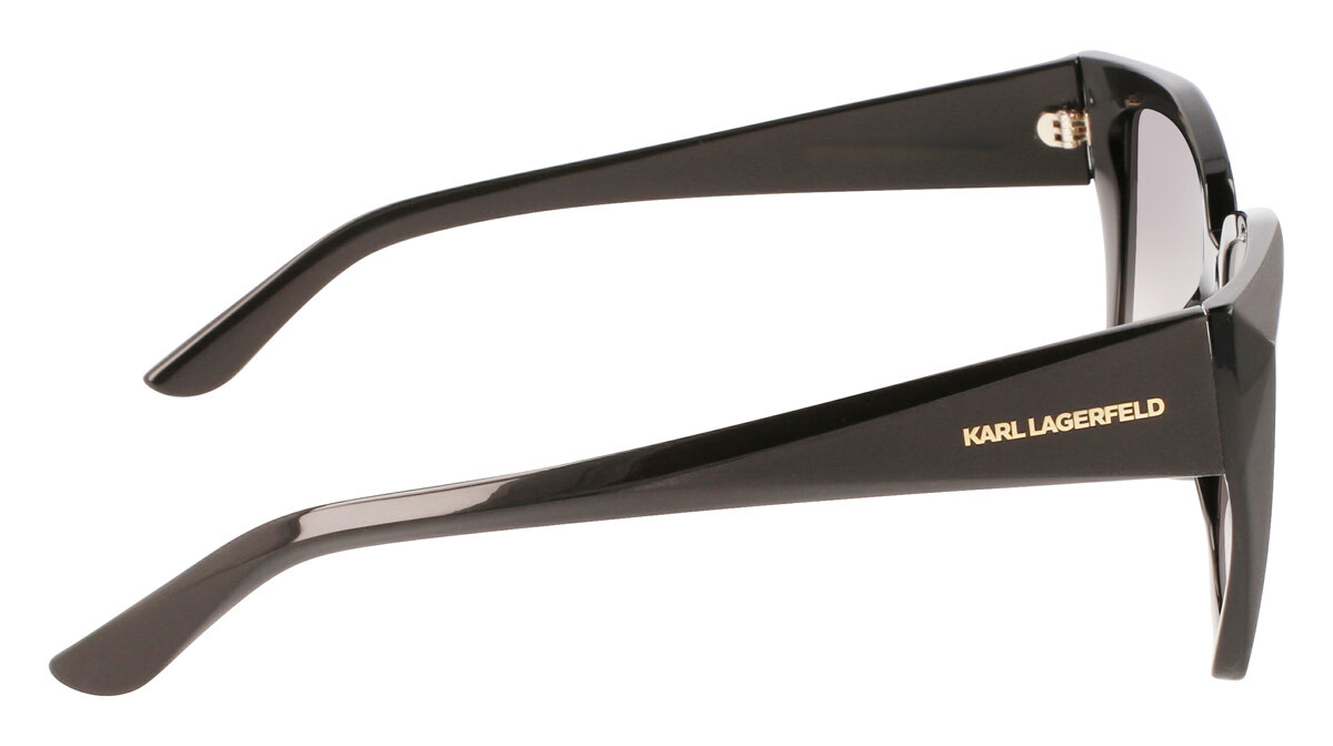 Lunettes de soleil Femme Karl Lagerfeld  KL6072S 001