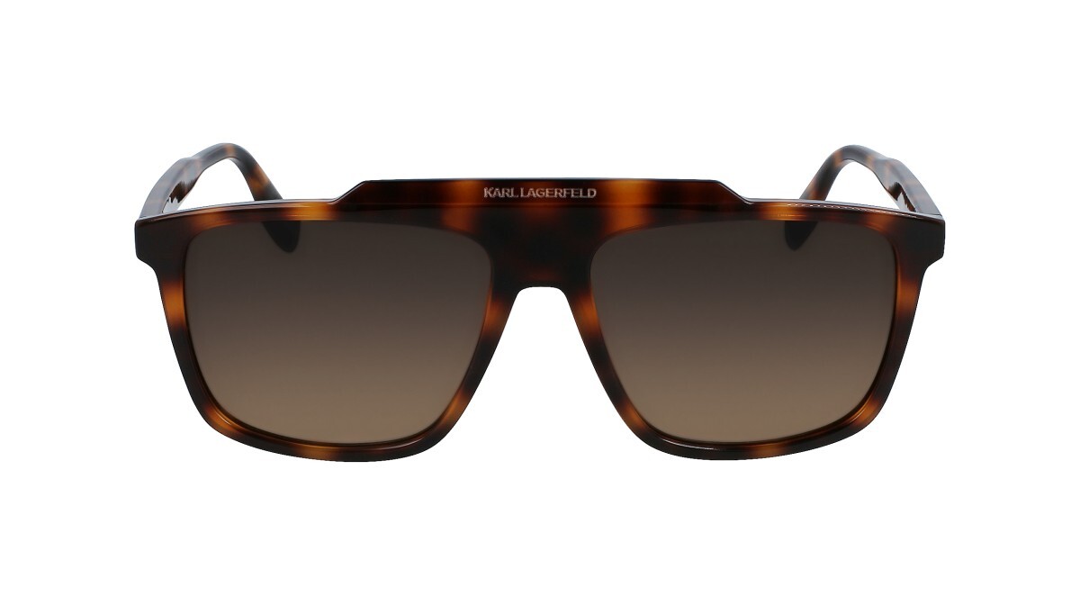 СОЛНЦЕЗАЩИТНЫЕ ОЧКИ мужчина Karl Lagerfeld  KL6107S 240