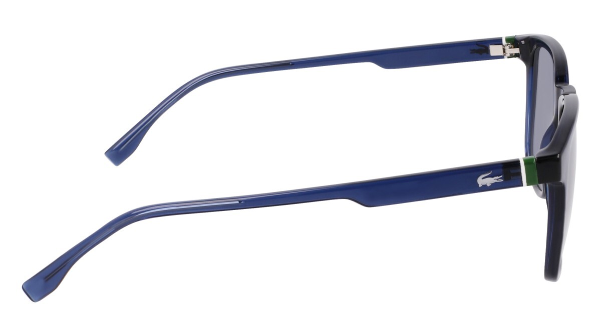 Sunglasses Man Lacoste  L6029S 410