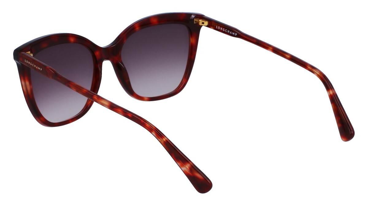 Lunettes de soleil Femme Longchamp  LO729S 640