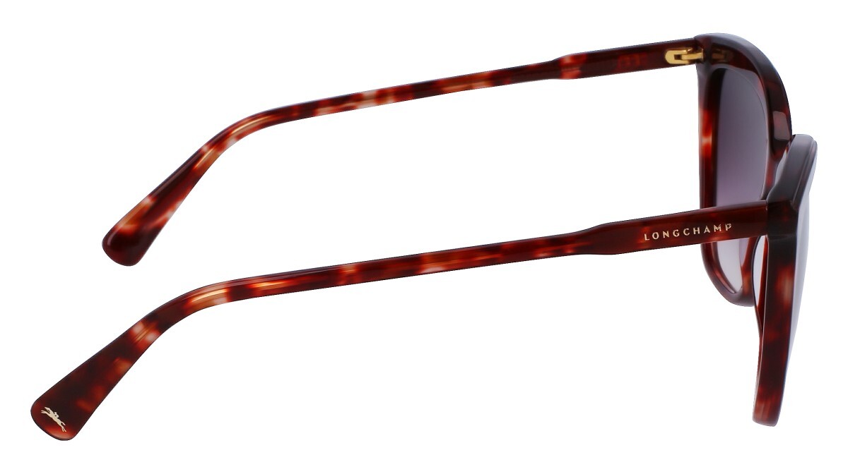 Lunettes de soleil Femme Longchamp  LO729S 640