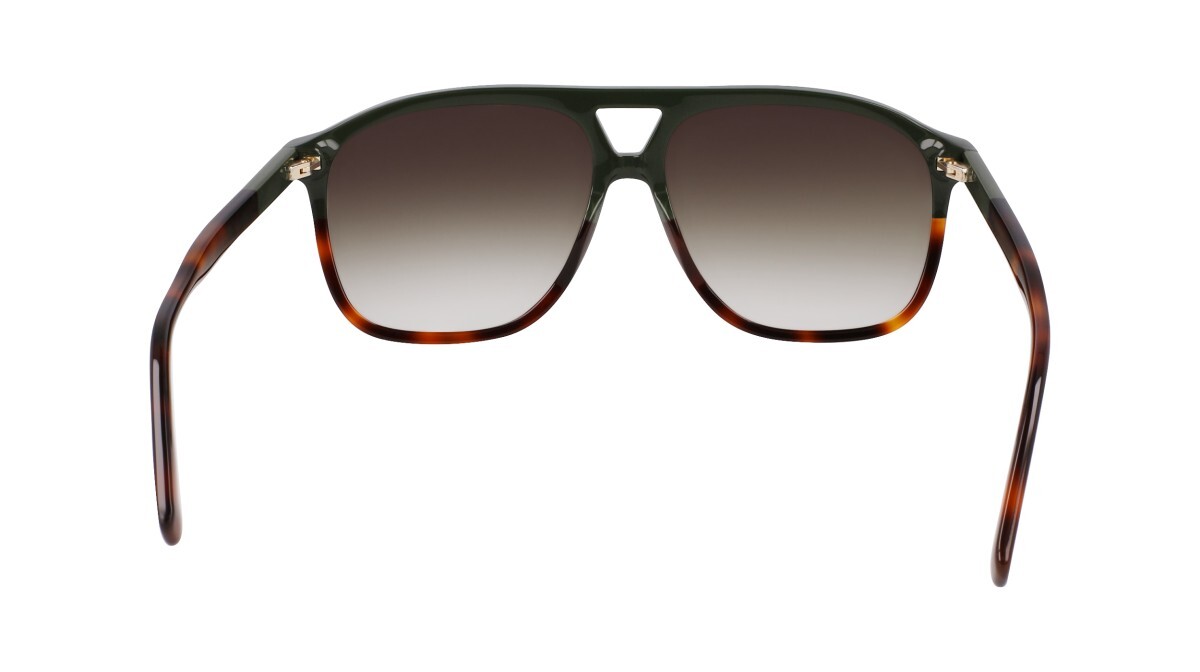 Lunettes de soleil Femme Longchamp  LO751S 320