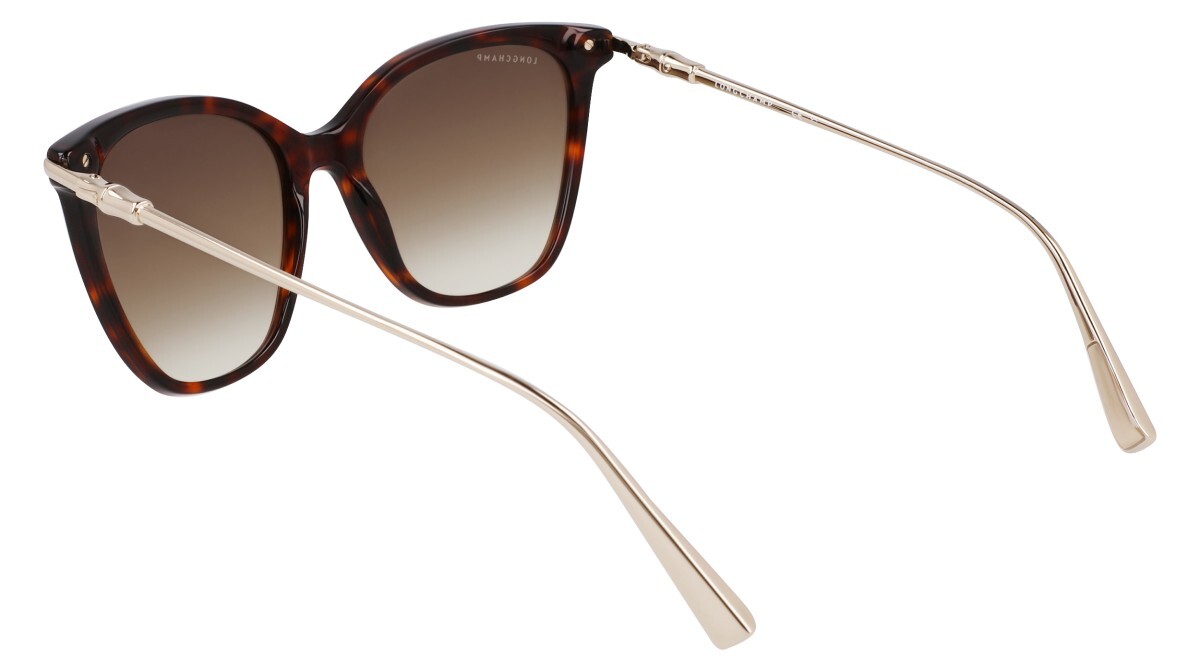 Lunettes de soleil Femme Longchamp  LO757S 242