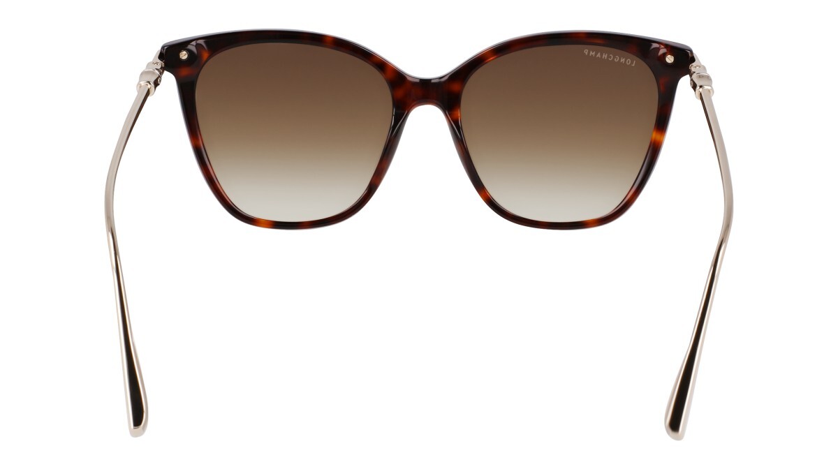 Lunettes de soleil Femme Longchamp  LO757S 242