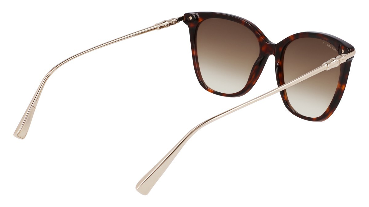 Lunettes de soleil Femme Longchamp  LO757S 242