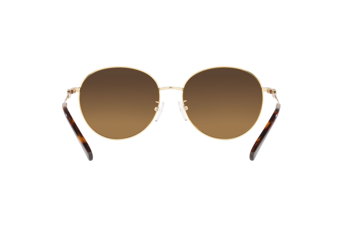 Lunettes de soleil Femme Michael Kors Alpine MK 1119 101484