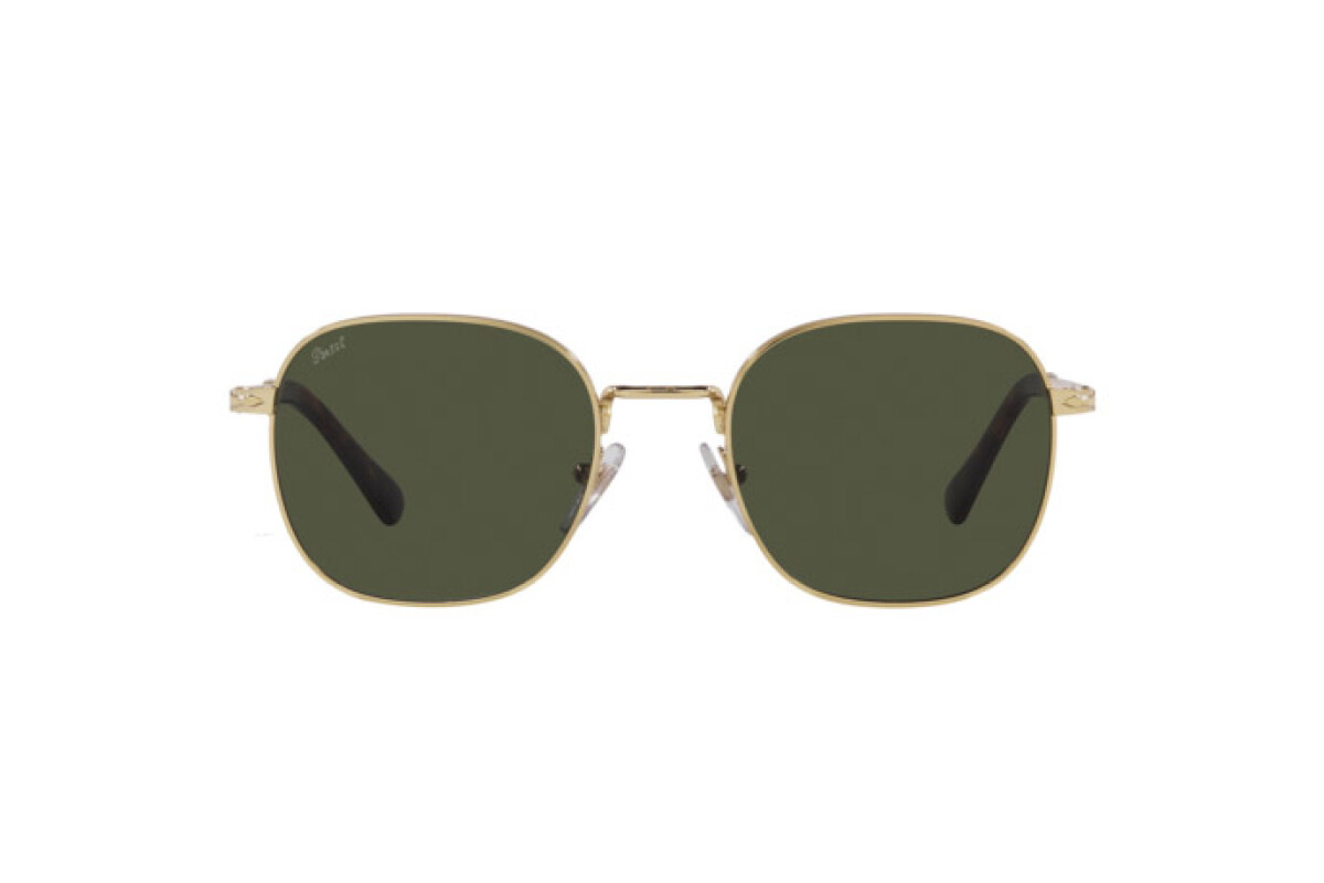 Sonnenbrillen Unisex Persol  PO 1009S 515/31