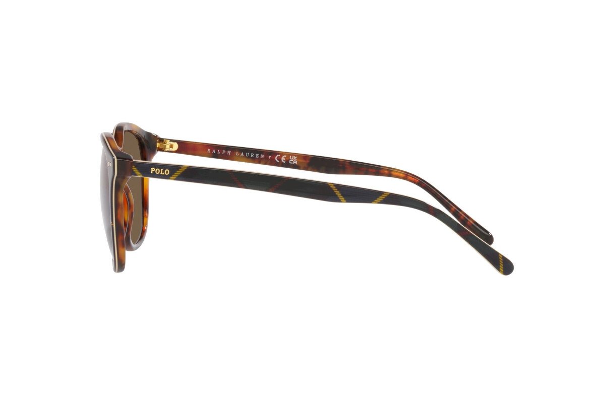 Lunettes de soleil Homme Polo Ralph Lauren  PH 4188 562573