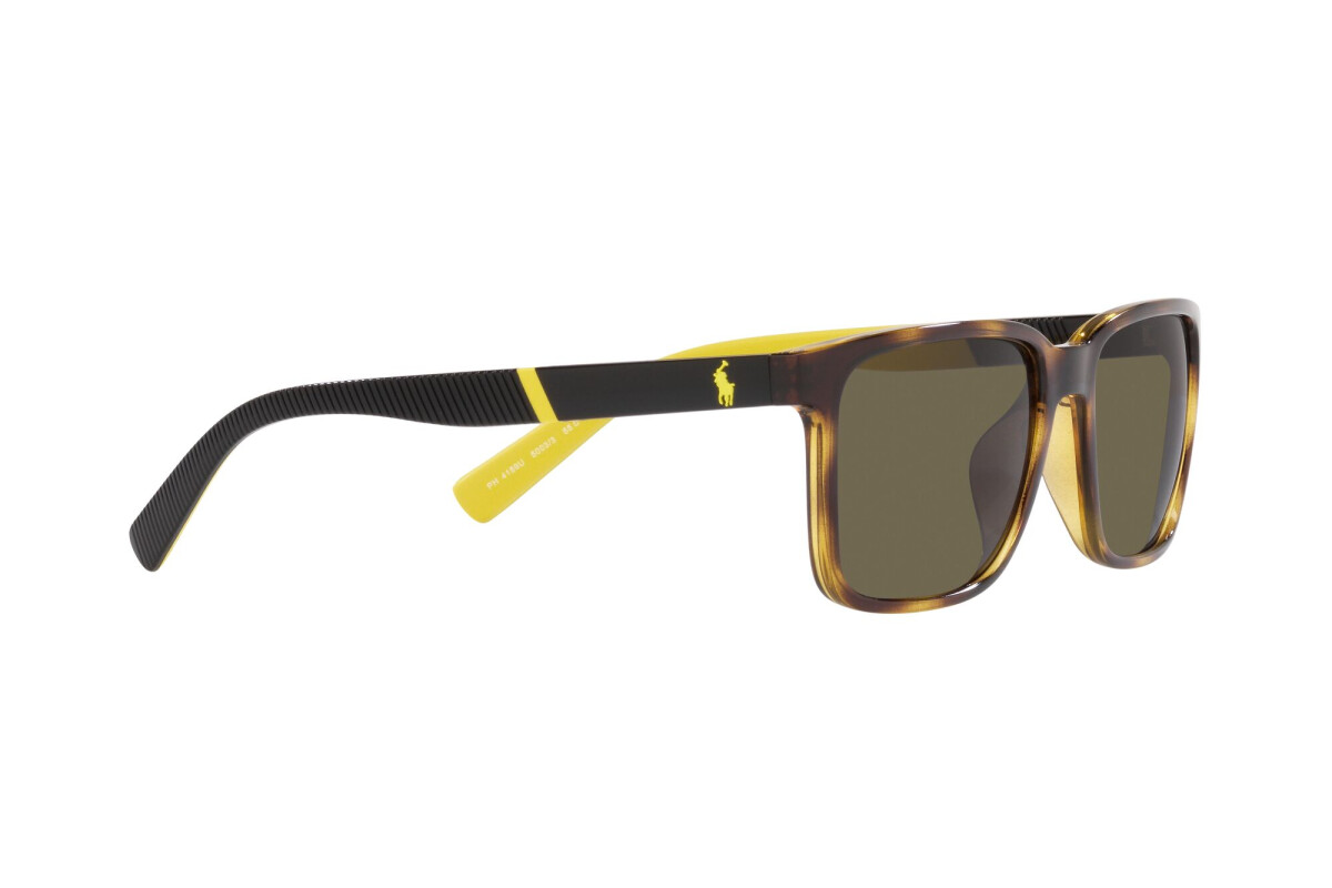 Lunettes de soleil Homme Polo Ralph Lauren  PH 4189U 5003/3