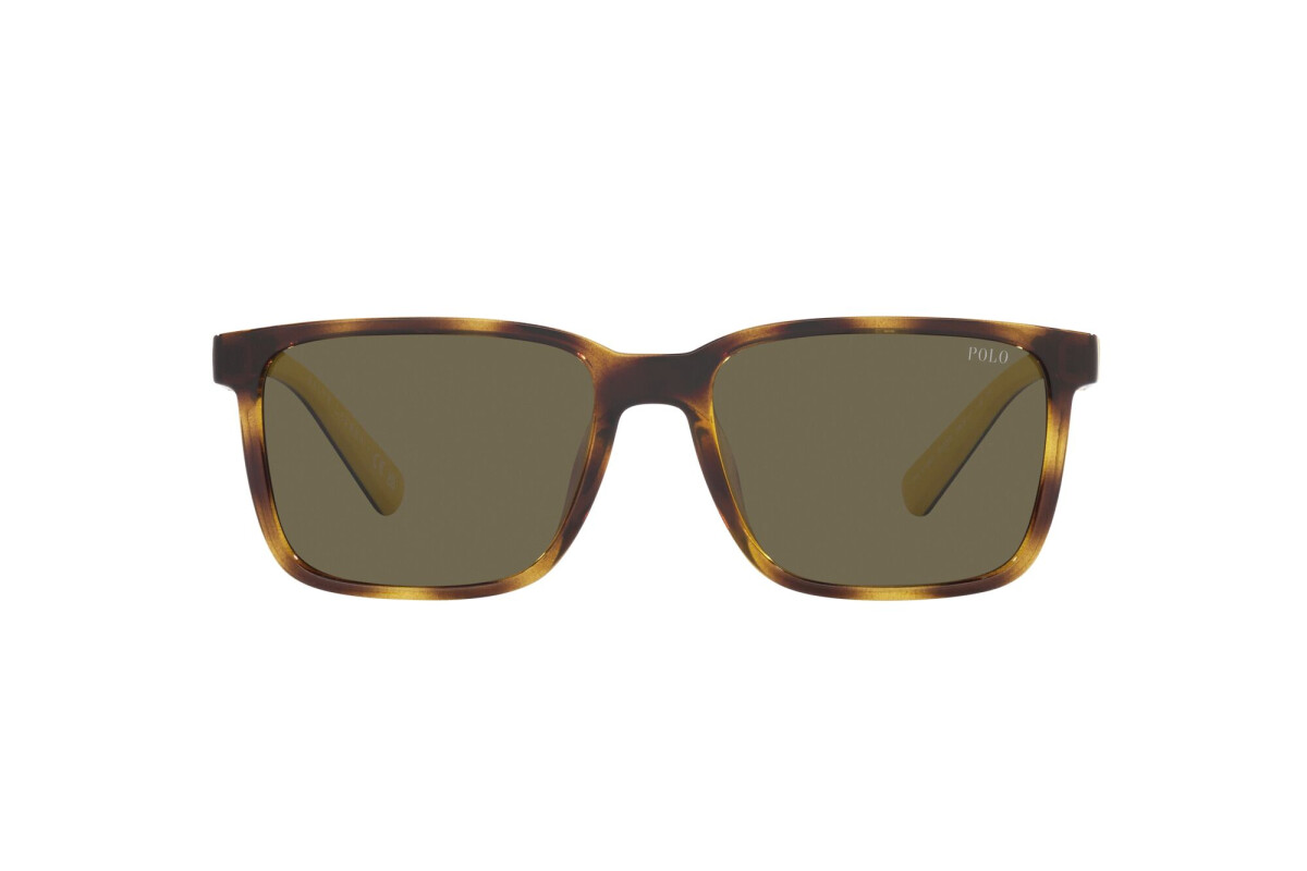 Lunettes de soleil Homme Polo Ralph Lauren  PH 4189U 5003/3