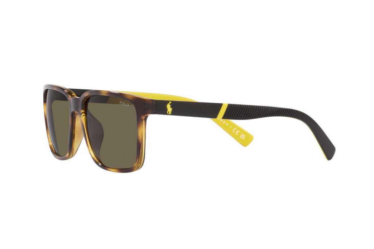 Lunettes de soleil Homme Polo Ralph Lauren  PH 4189U 5003/3