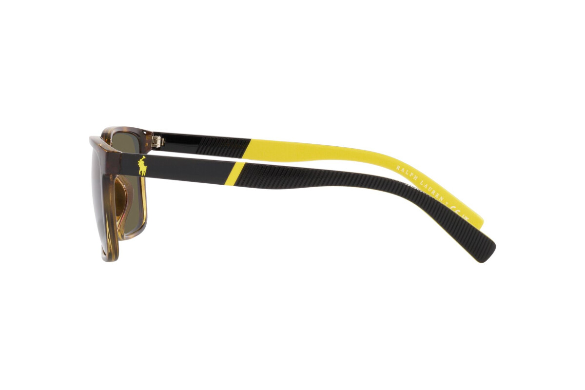 Lunettes de soleil Homme Polo Ralph Lauren  PH 4189U 5003/3