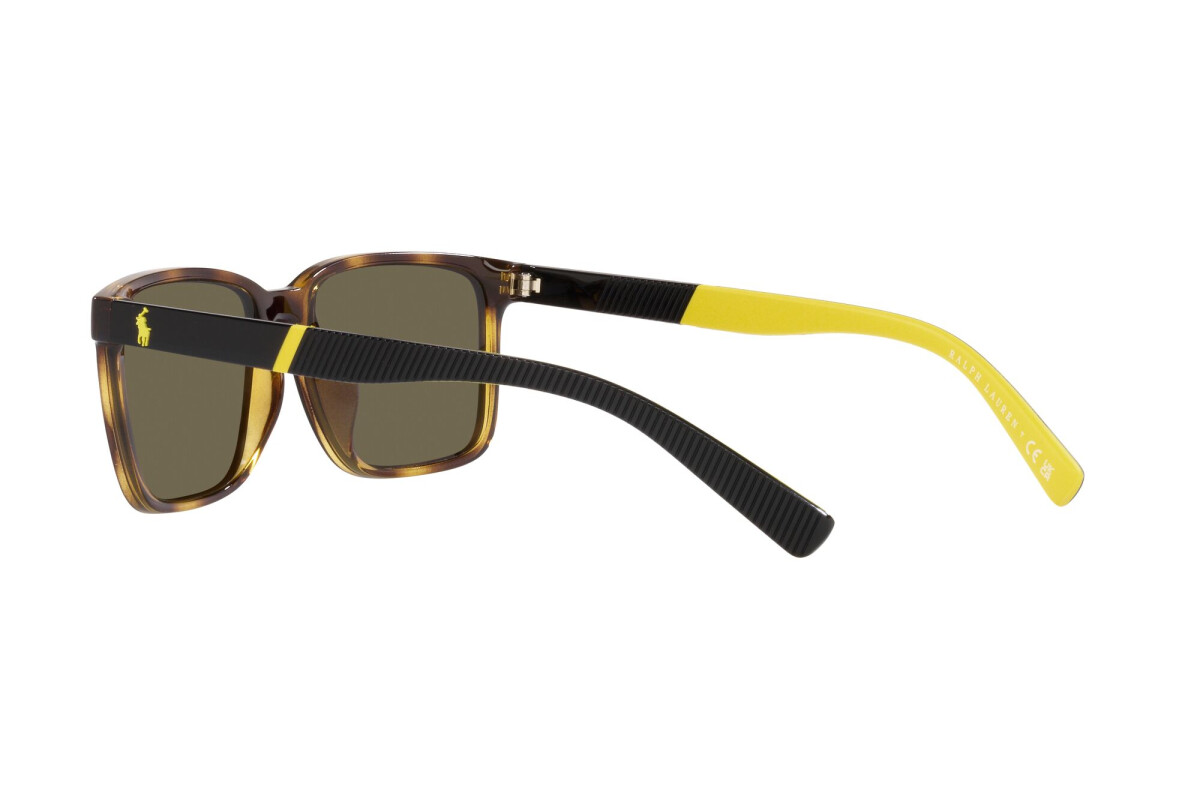 Lunettes de soleil Homme Polo Ralph Lauren  PH 4189U 5003/3