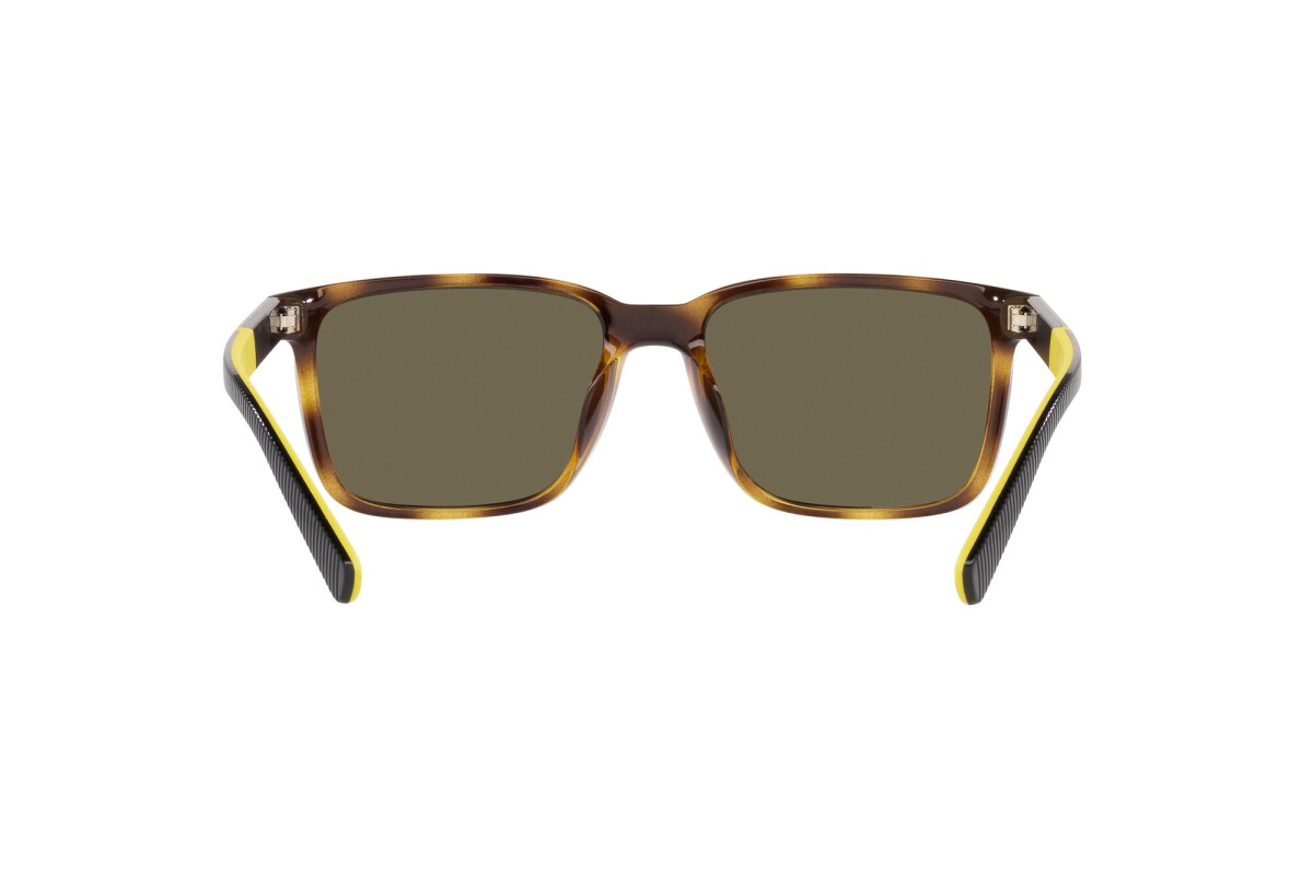 Lunettes de soleil Homme Polo Ralph Lauren  PH 4189U 5003/3