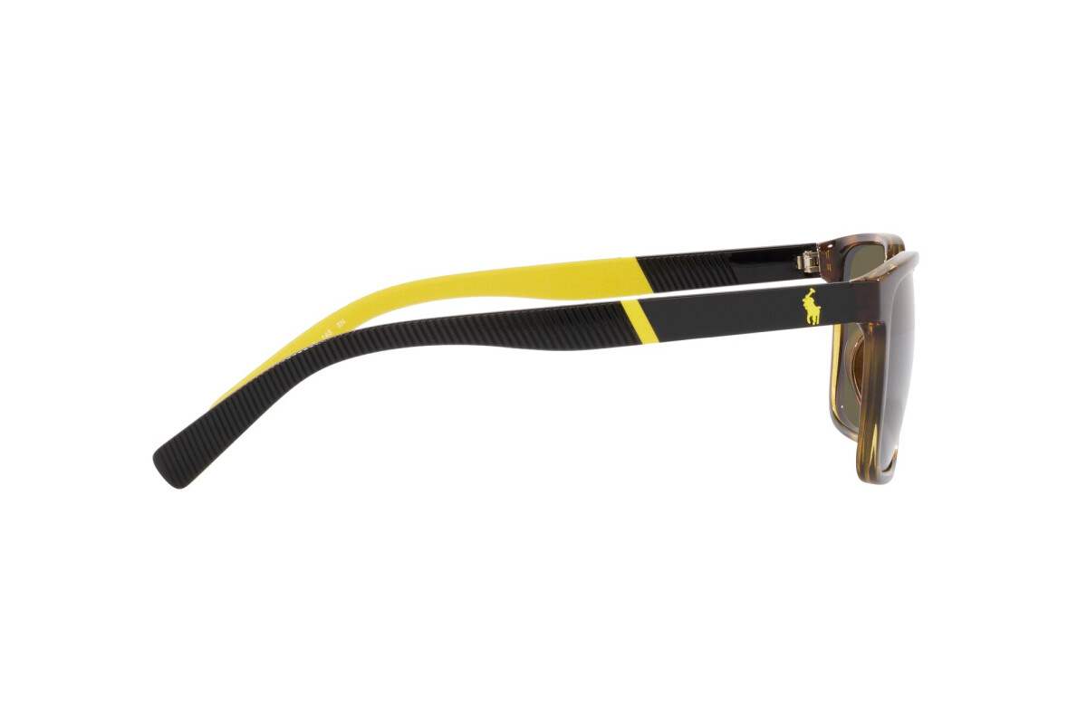 Lunettes de soleil Homme Polo Ralph Lauren  PH 4189U 5003/3