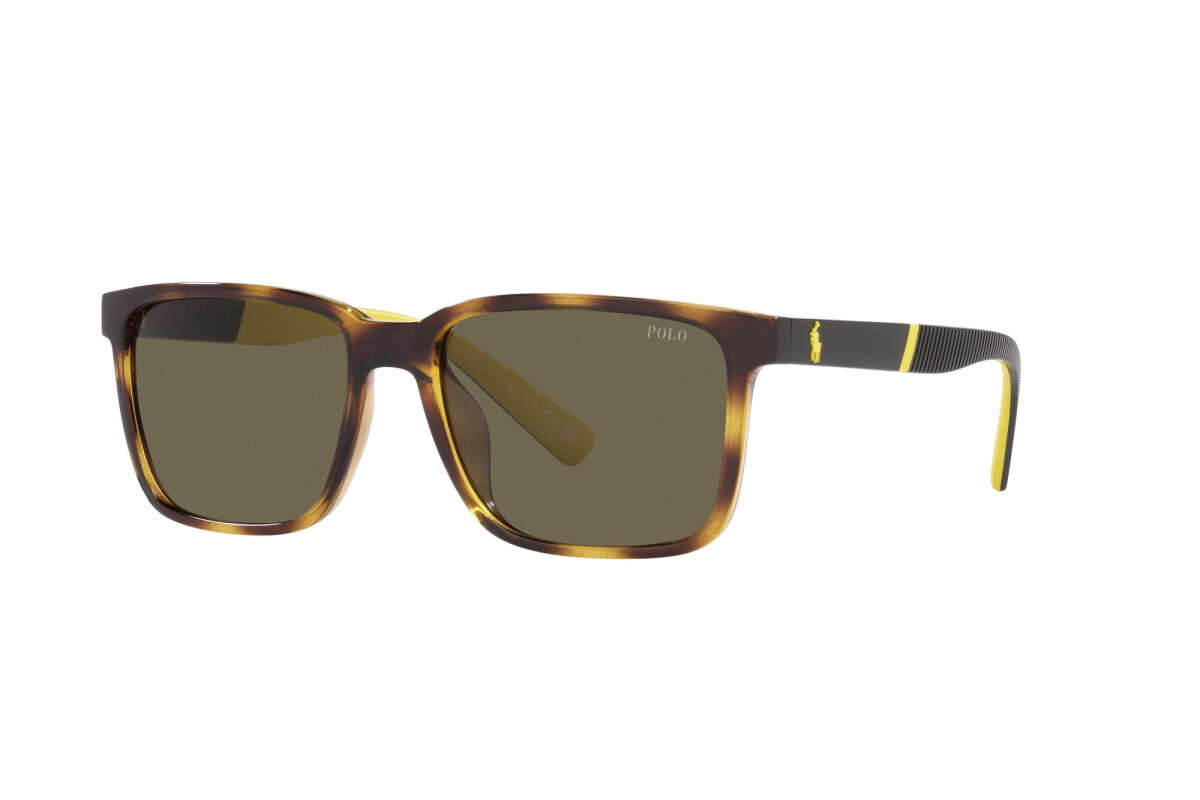 Lunettes de soleil Homme Polo Ralph Lauren  PH 4189U 5003/3